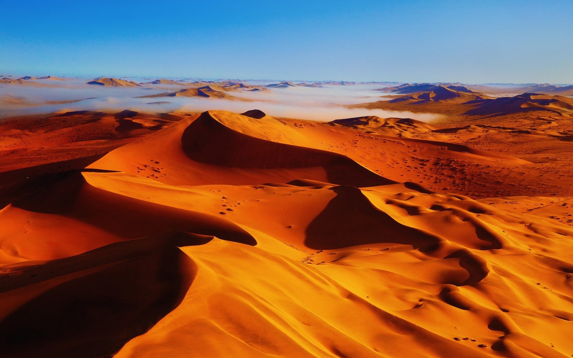 Beautiful Desert Landscape for 1920 x 1200 widescreen resolution