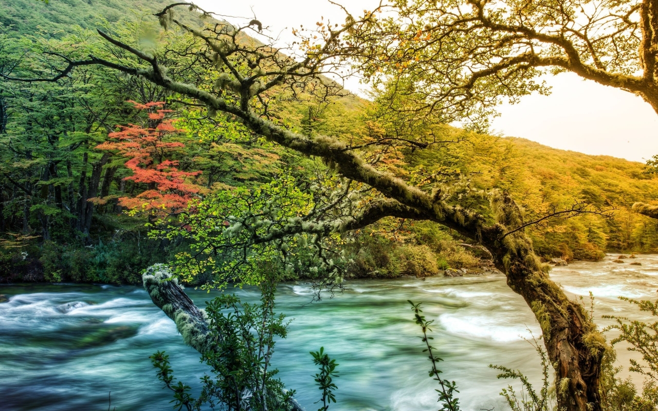 Beautiful HDR Spring Landscape for 1280 x 800 widescreen resolution