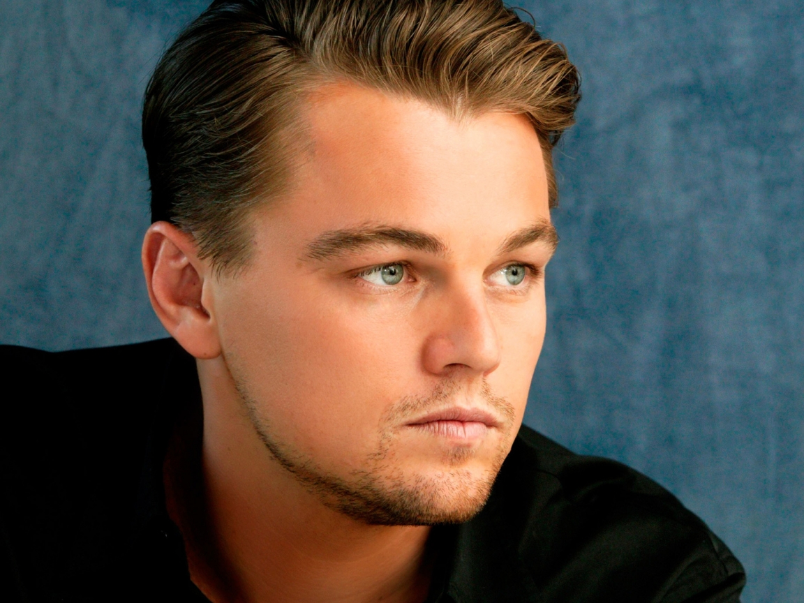 Beautiful Leonardo DiCaprio for 1152 x 864 resolution