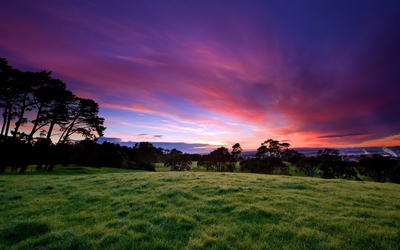 Beautiful Morning for 1280 x 800 widescreen resolution