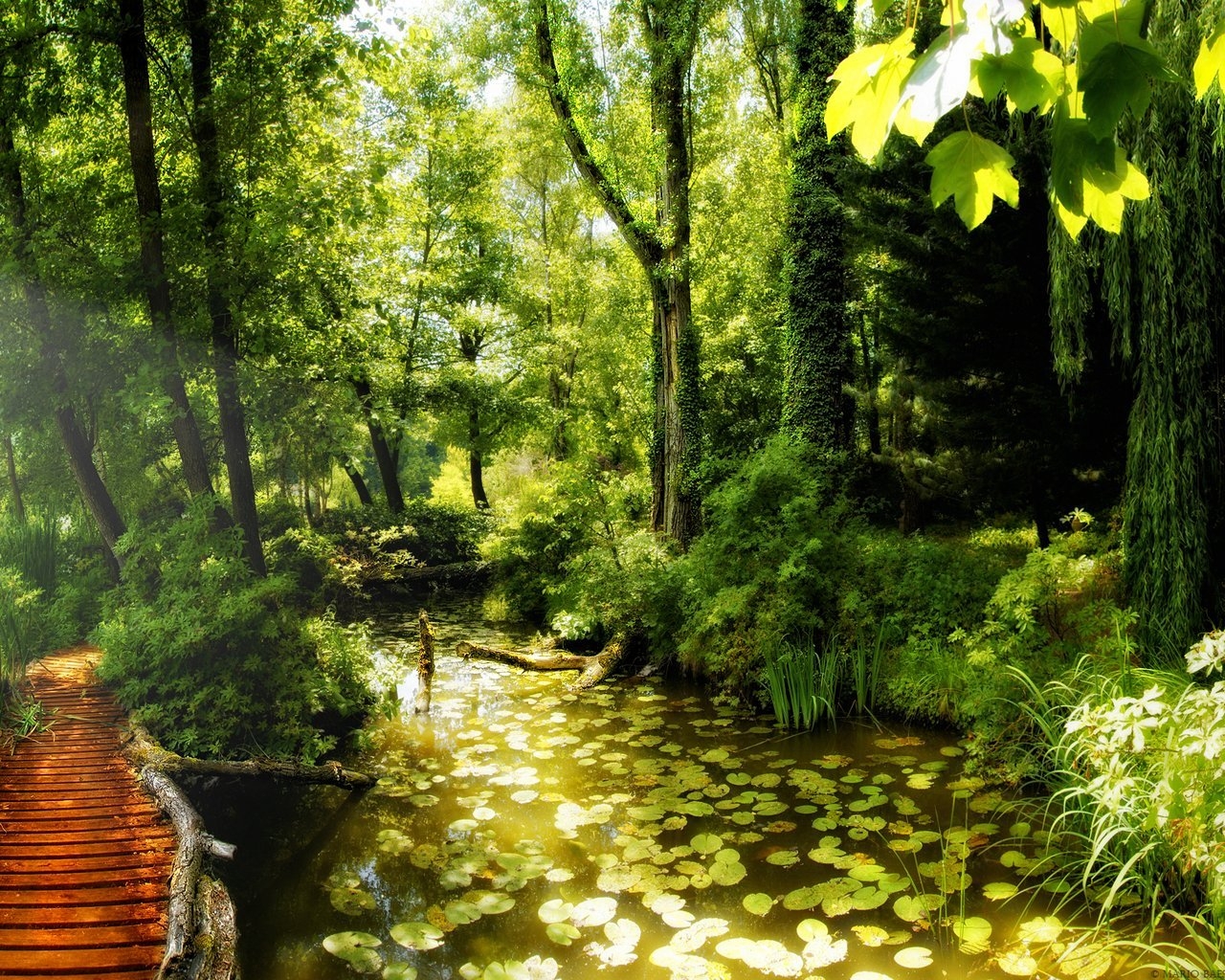 Beautiful nature corner for 1280 x 1024 resolution