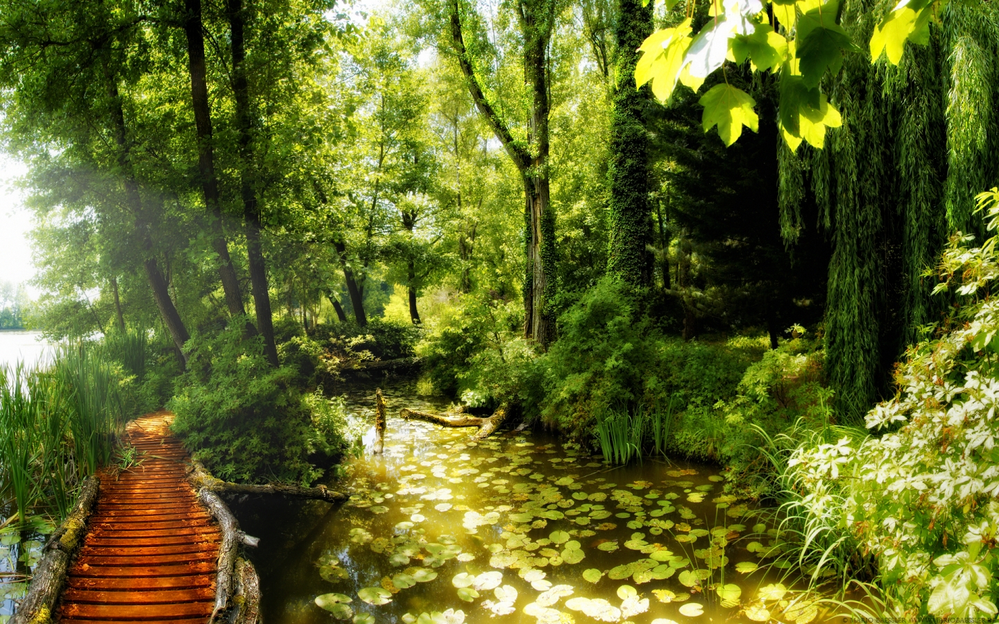 Beautiful nature corner for 1440 x 900 widescreen resolution