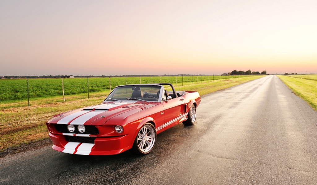 Beautiful Shelby GT 500 Convertible for 1024 x 600 widescreen resolution