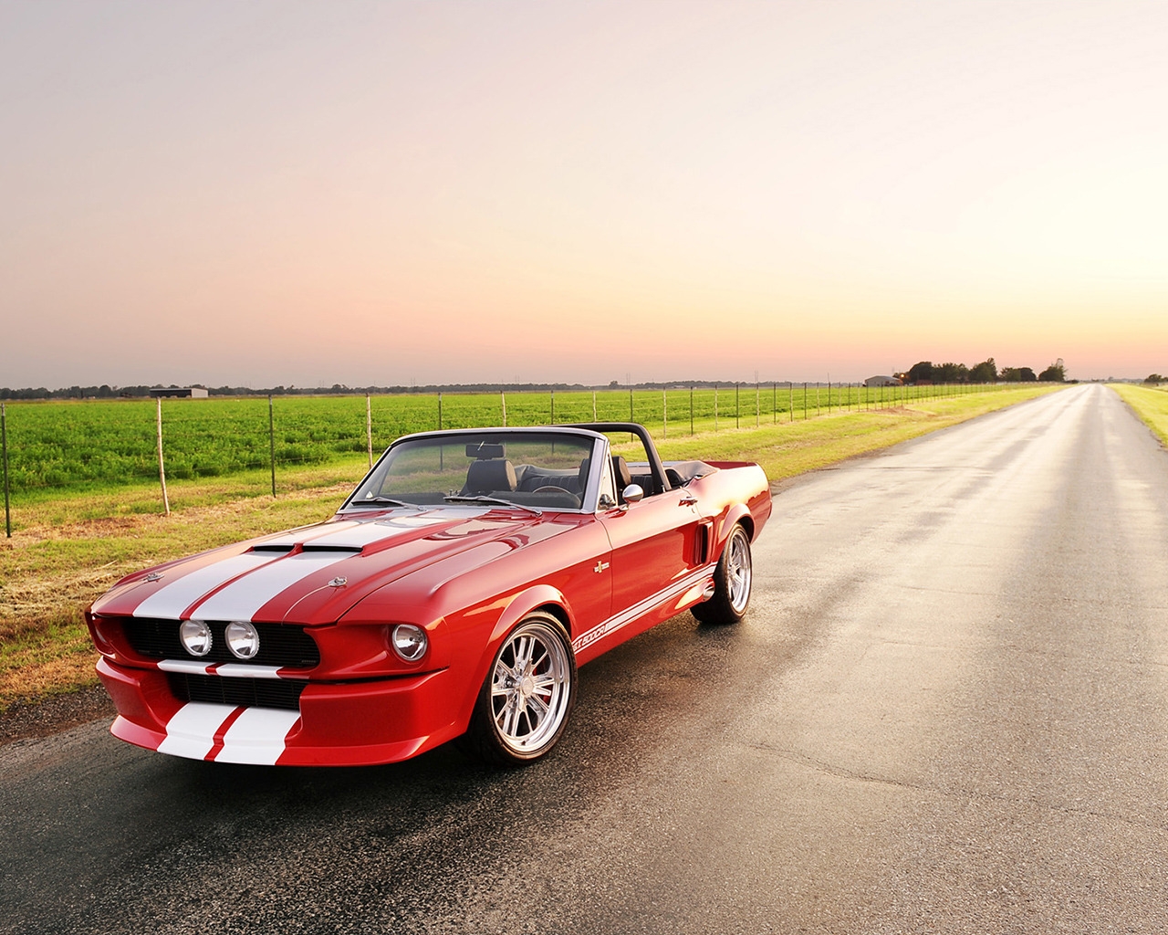 Beautiful Shelby GT 500 Convertible for 1280 x 1024 resolution