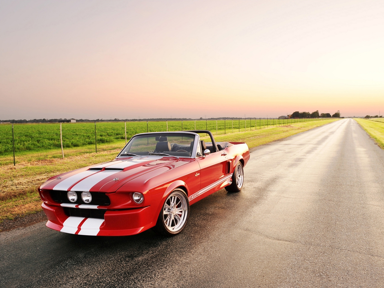 Beautiful Shelby GT 500 Convertible for 1280 x 960 resolution