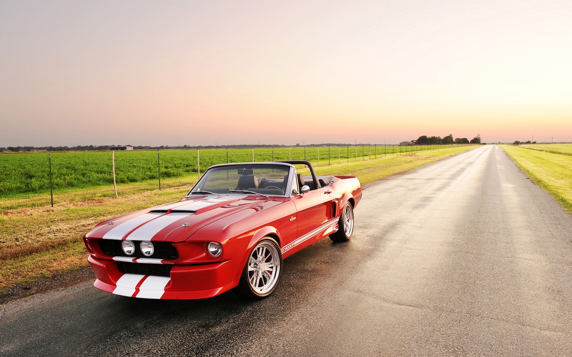 Beautiful Shelby GT 500 Convertible for 1920 x 1200 widescreen resolution
