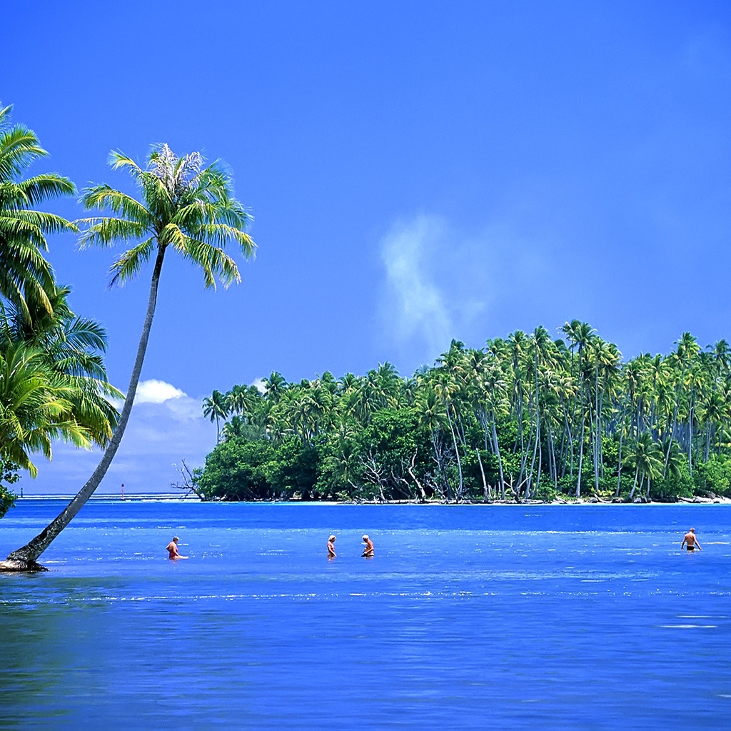 Beautiful Tropical Island for 1024 x 1024 iPad resolution