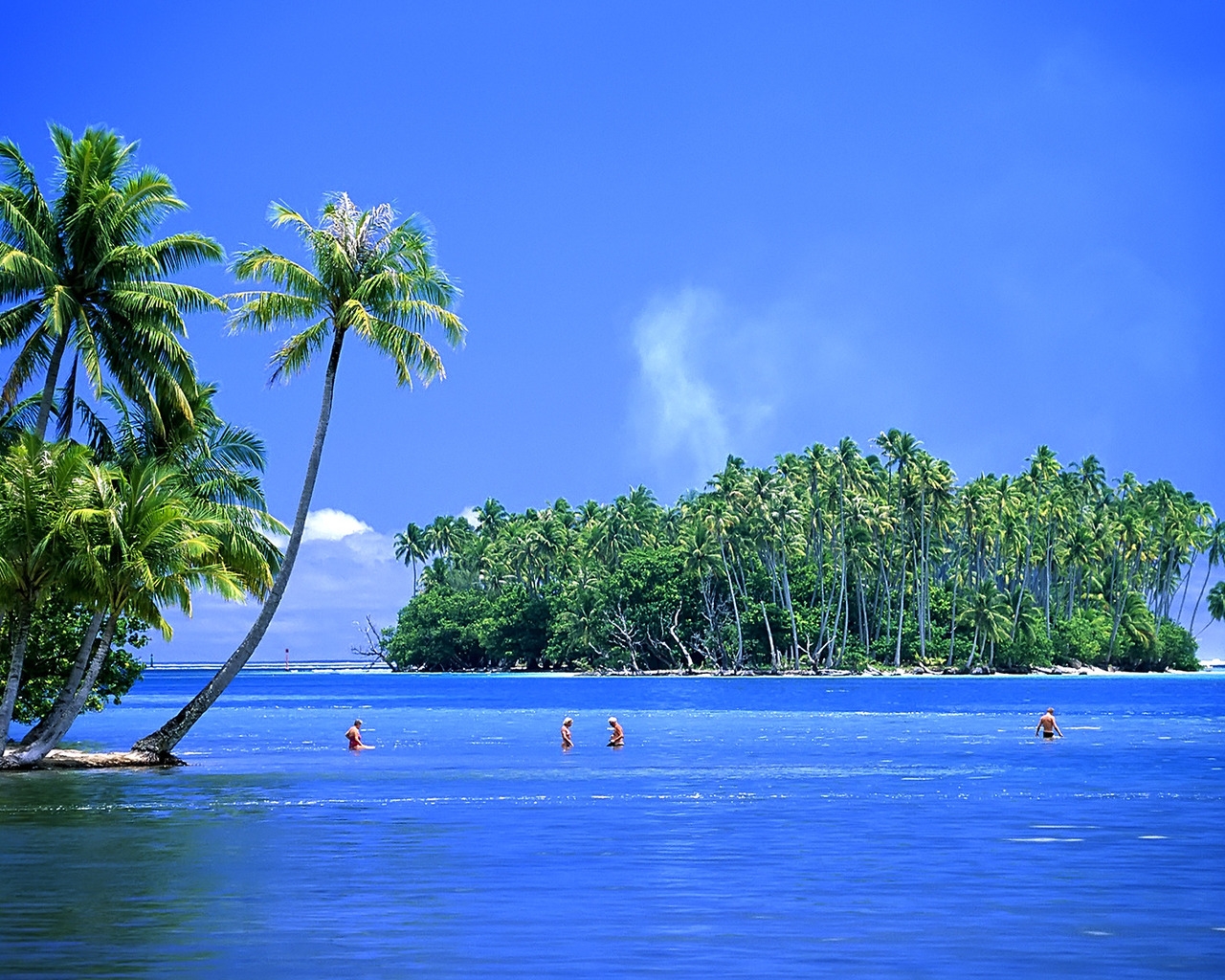 Beautiful Tropical Island for 1280 x 1024 resolution