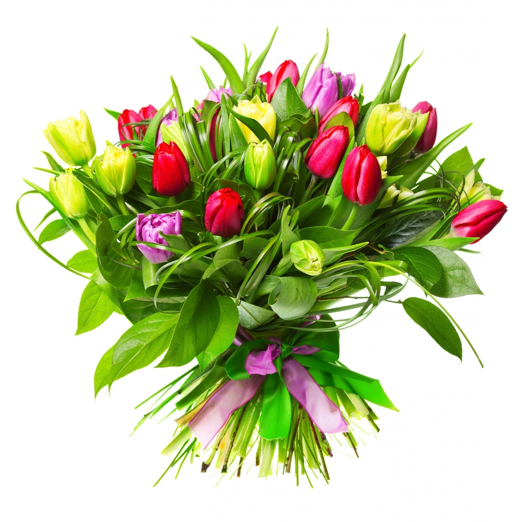 Beautiful Tulip Bouquet for 1024 x 1024 iPad resolution