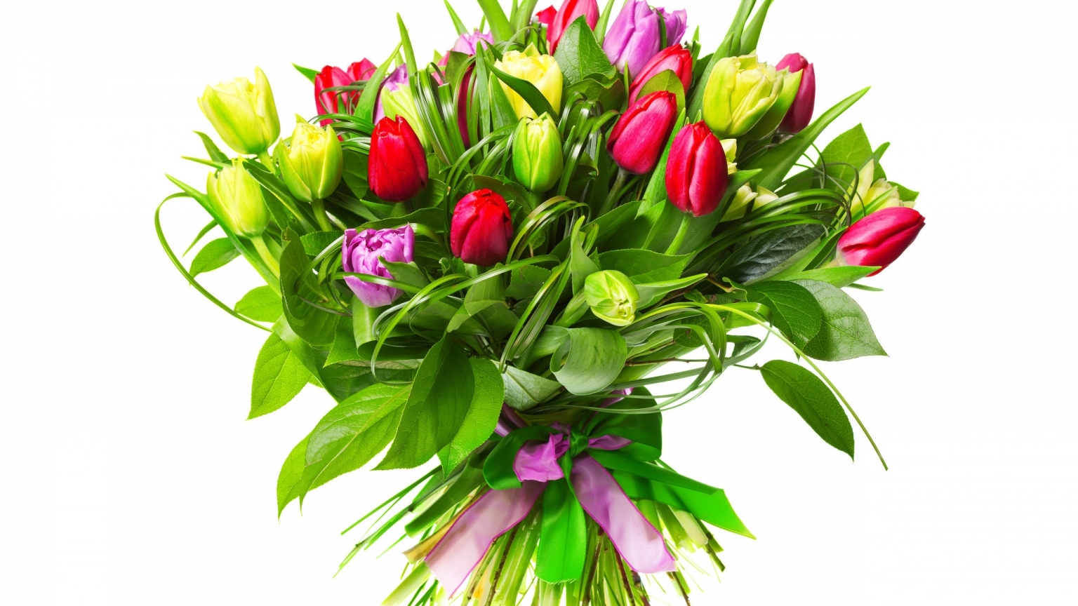 Beautiful Tulip Bouquet for 1536 x 864 HDTV resolution