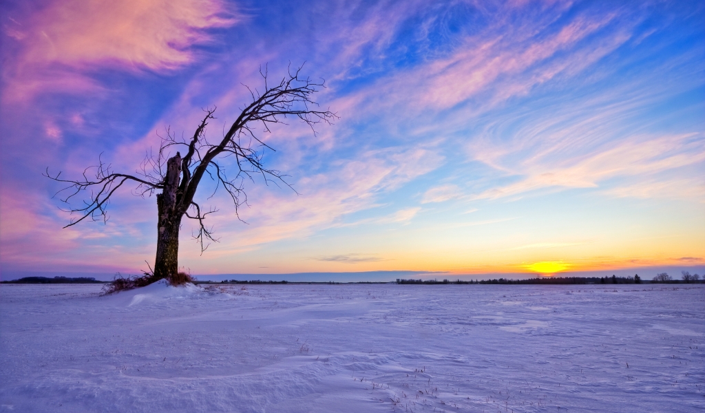 Beautiful Winter Sunset for 1024 x 600 widescreen resolution