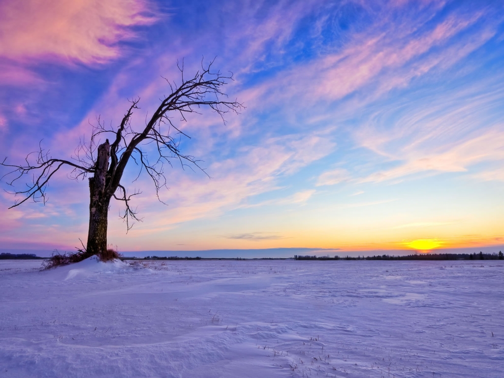Beautiful Winter Sunset for 1024 x 768 resolution