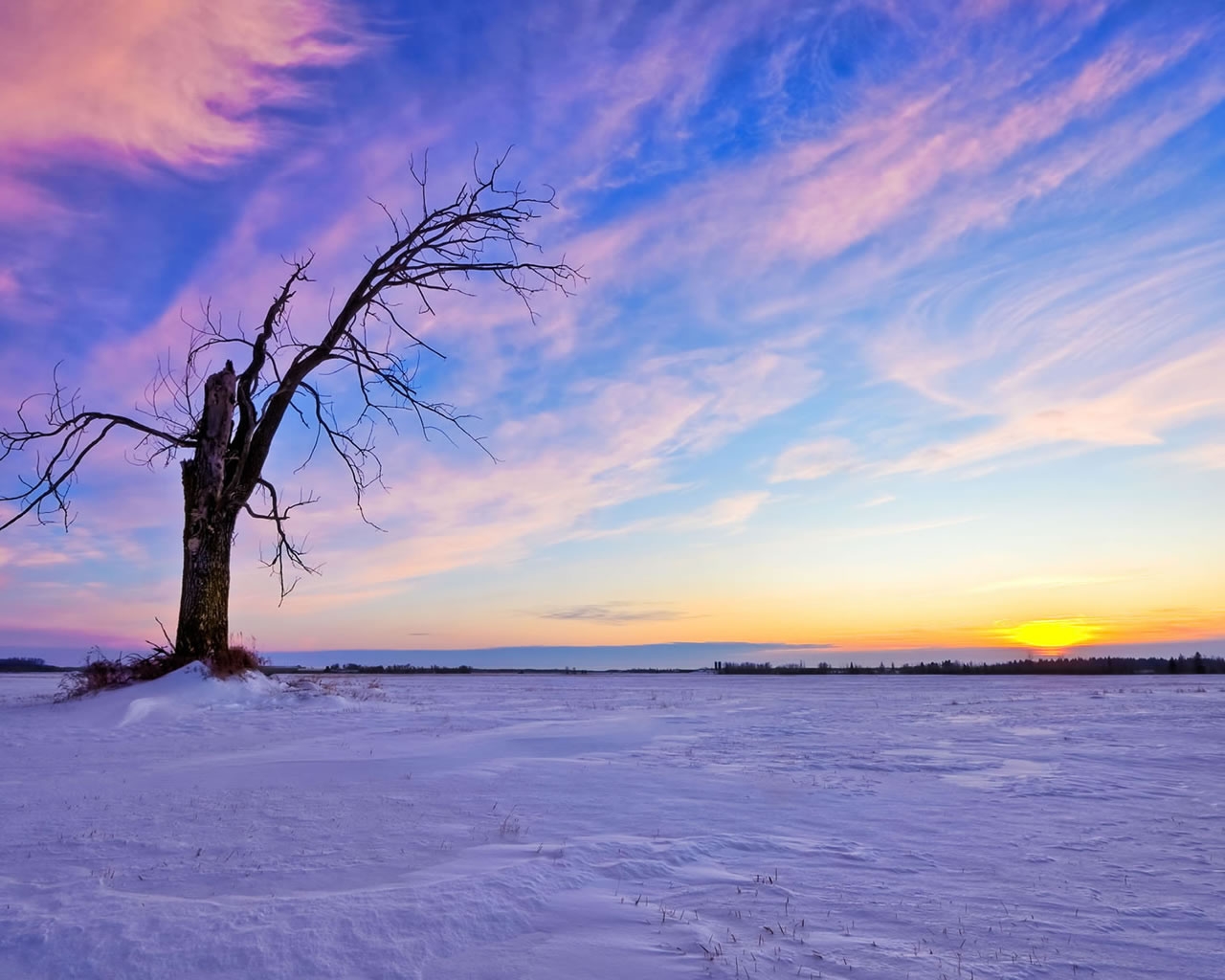 Beautiful Winter Sunset for 1280 x 1024 resolution