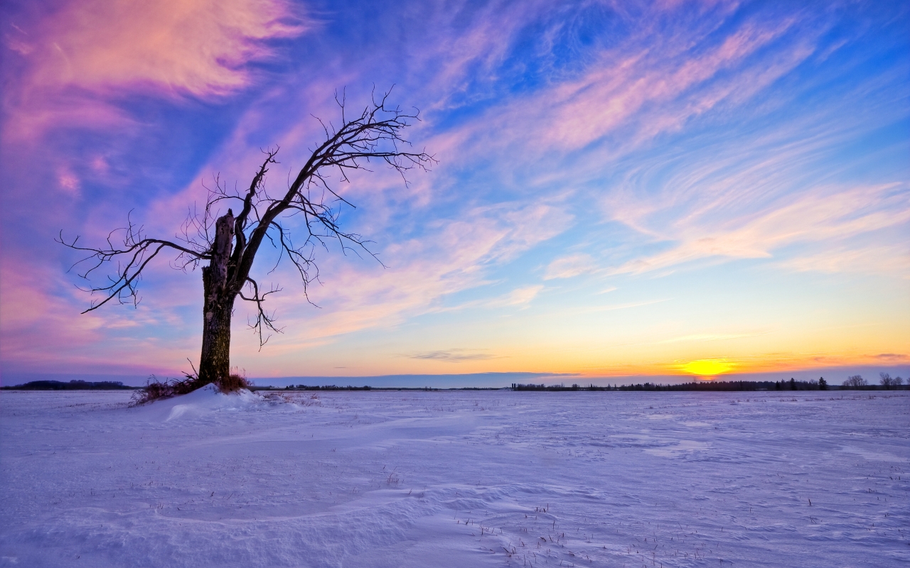 Beautiful Winter Sunset for 1280 x 800 widescreen resolution