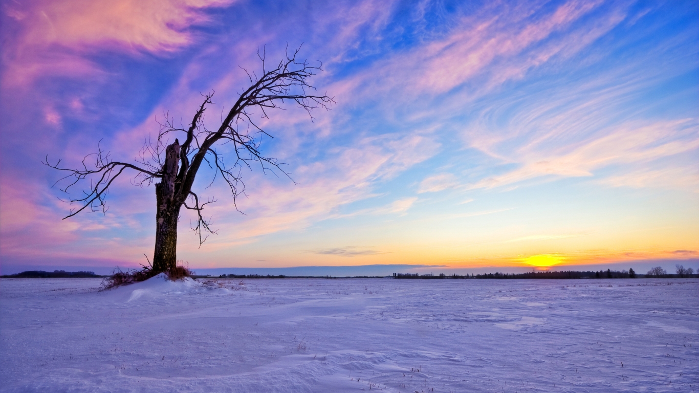 Beautiful Winter Sunset for 1366 x 768 HDTV resolution