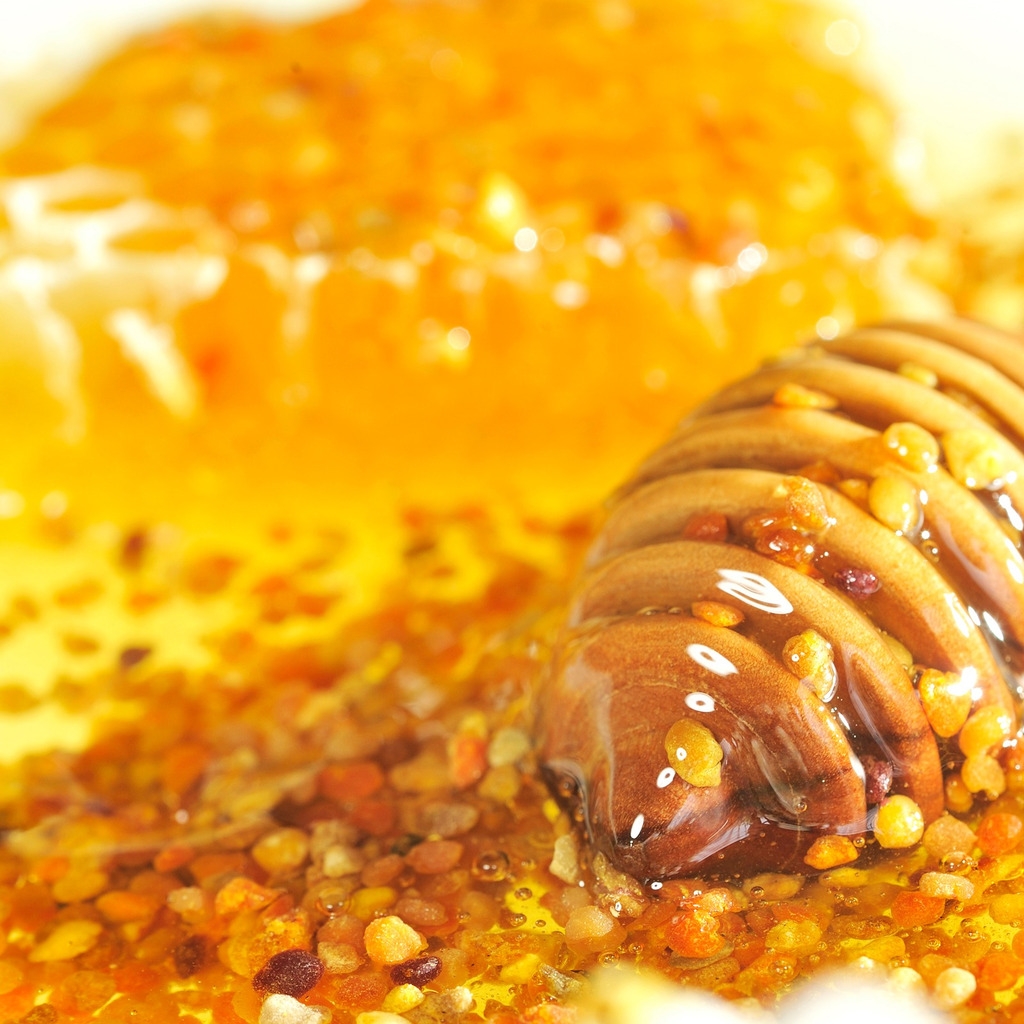 Bee Pollen and Honey for 1024 x 1024 iPad resolution