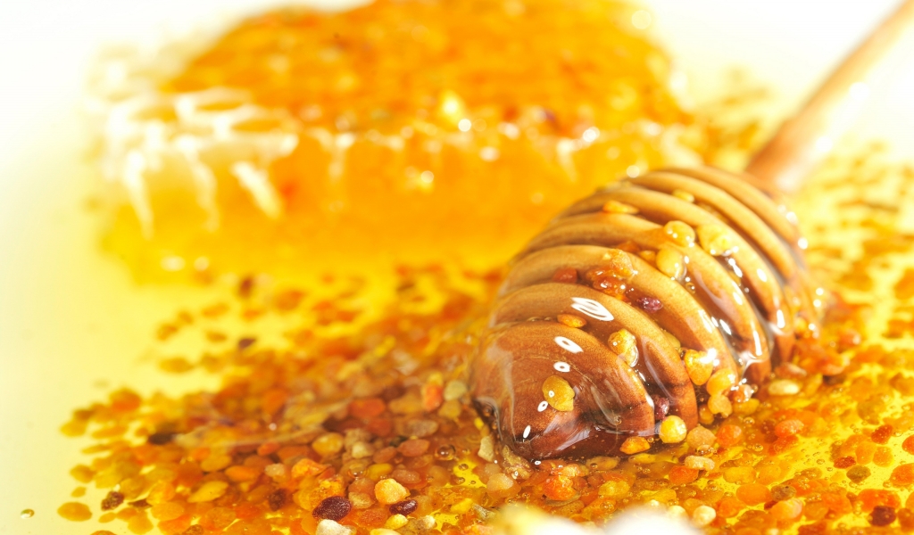 Bee Pollen and Honey for 1024 x 600 widescreen resolution