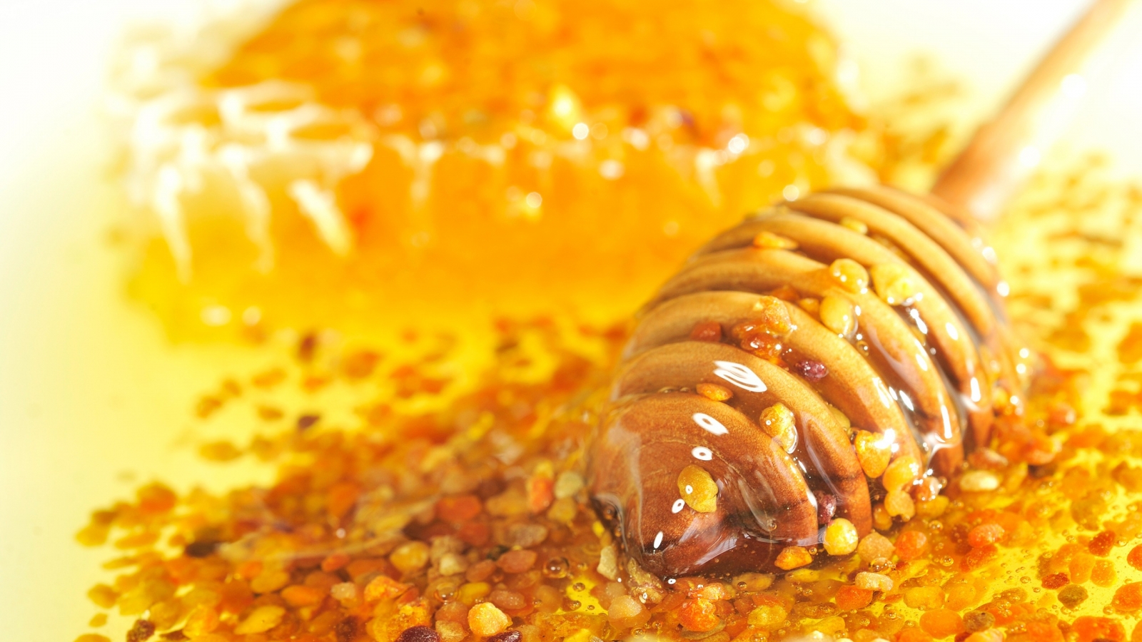 Bee Pollen and Honey for 1600 x 900 HDTV resolution