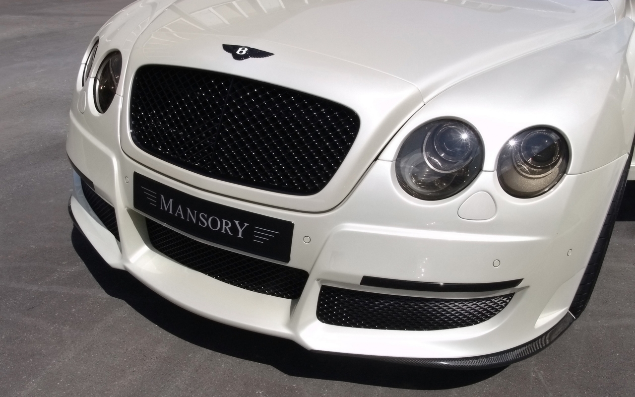 Bentley Continental GT Pearl White 2008 for 1280 x 800 widescreen resolution