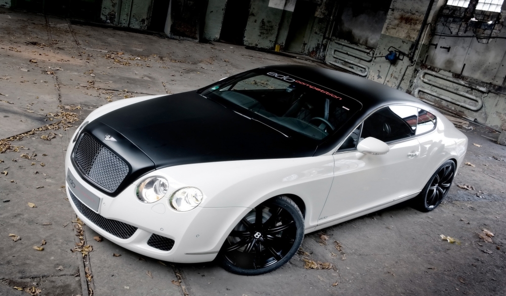 Bentley GT 2009 Edo Competition for 1024 x 600 widescreen resolution