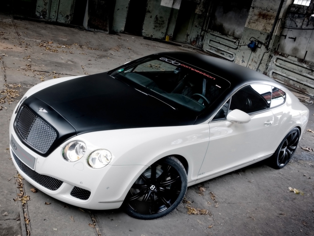 Bentley GT 2009 Edo Competition for 1024 x 768 resolution