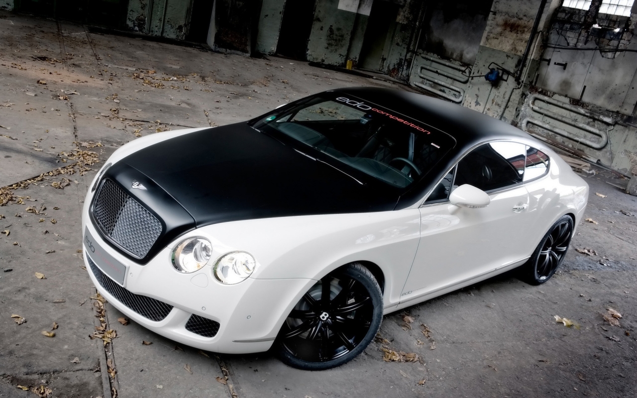 Bentley GT 2009 Edo Competition for 1280 x 800 widescreen resolution