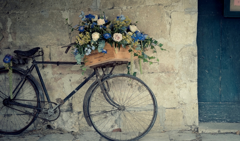 Bicycle Flower Support for 1024 x 600 widescreen resolution