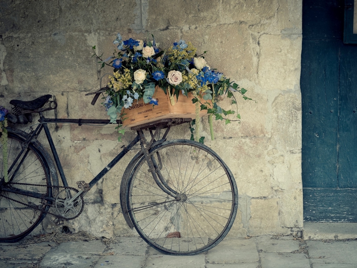 Bicycle Flower Support for 1152 x 864 resolution
