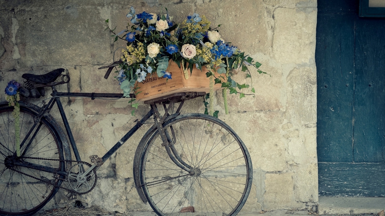 Bicycle Flower Support for 1280 x 720 HDTV 720p resolution