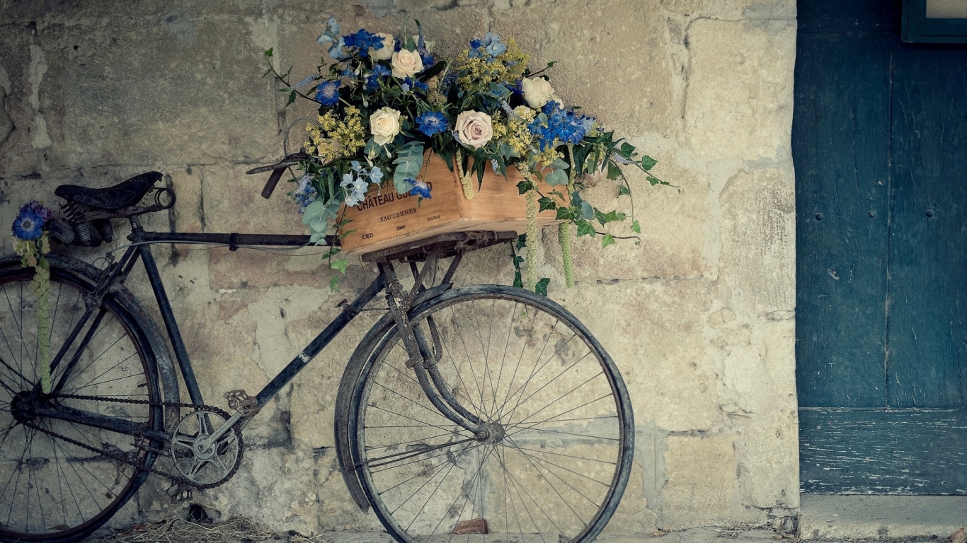 Bicycle Flower Support for 1366 x 768 HDTV resolution