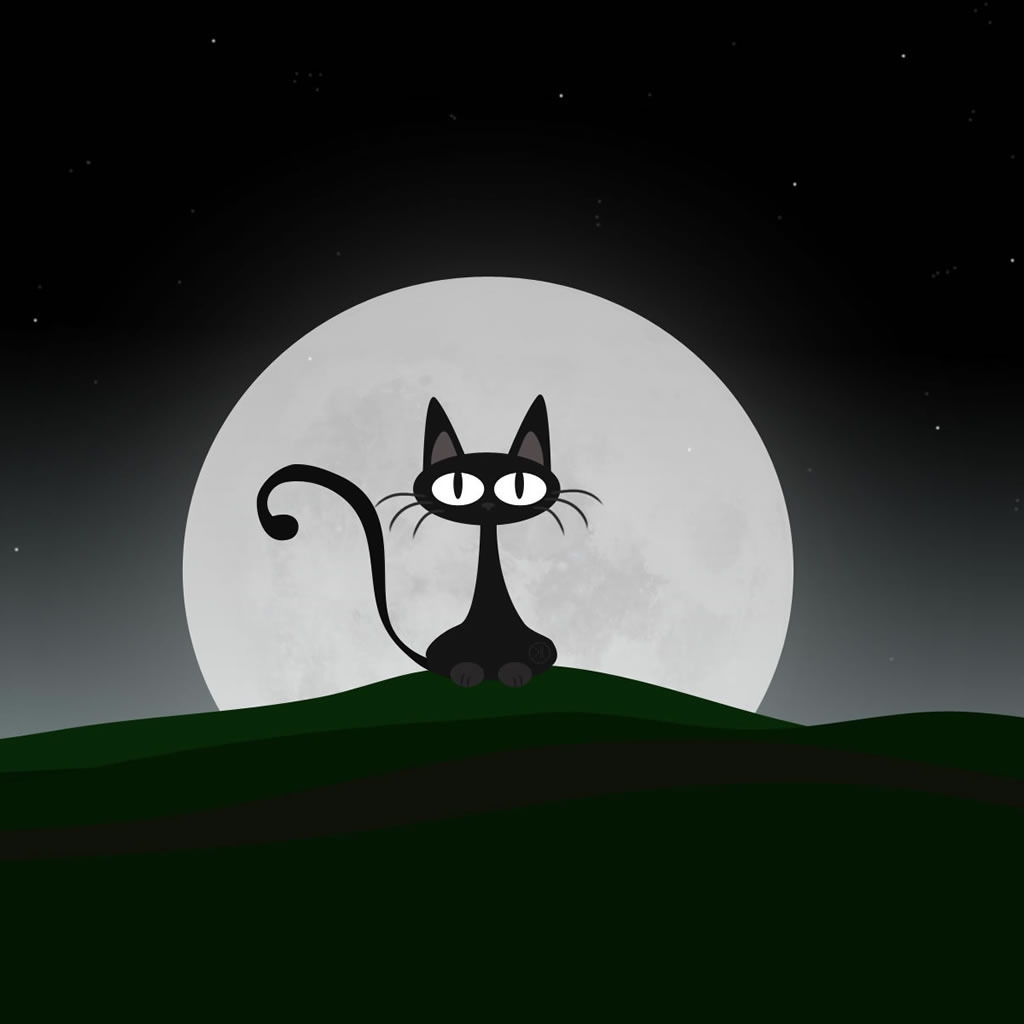 Black Cat for 1024 x 1024 iPad resolution