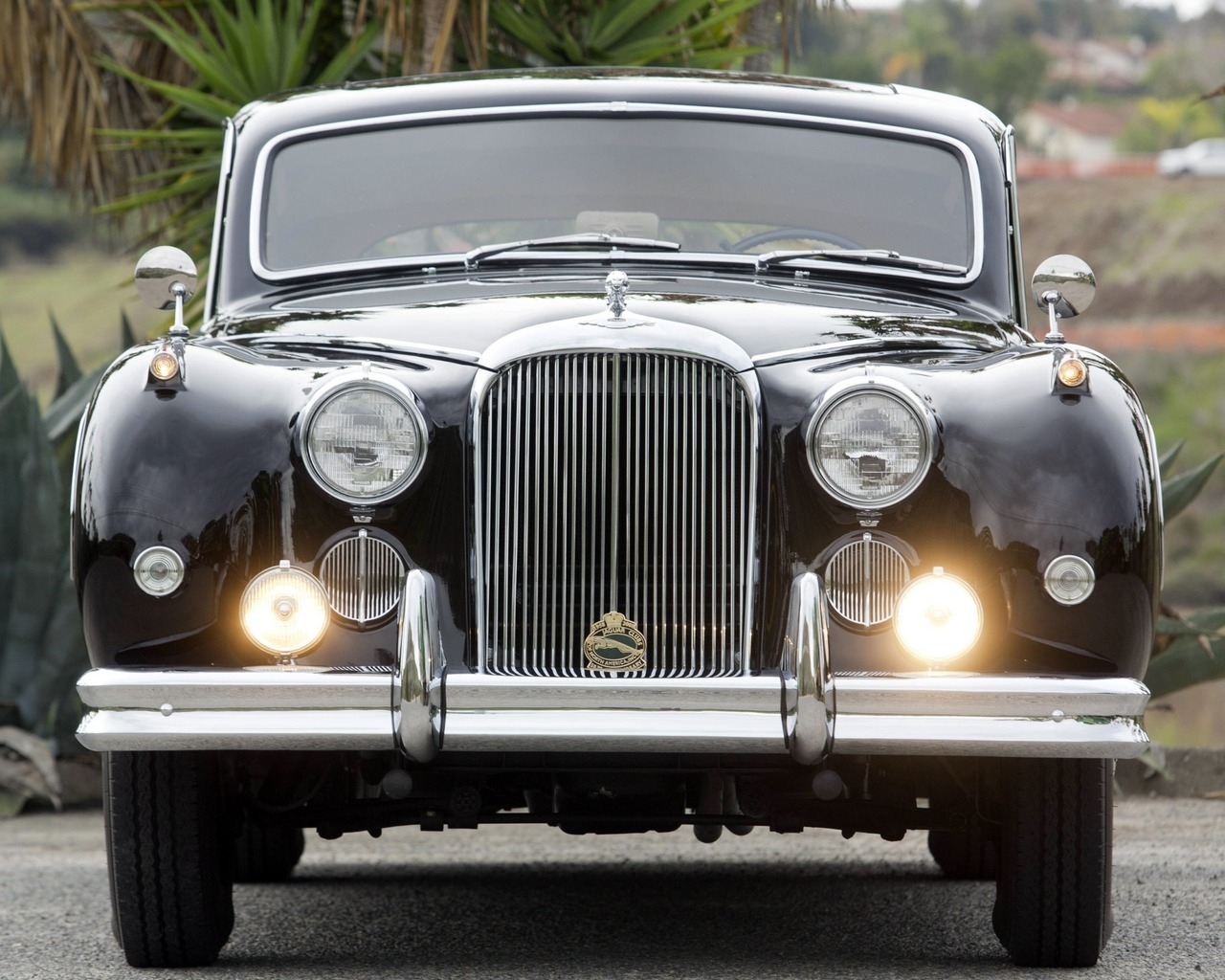 Black Classic Jaguar for 1280 x 1024 resolution