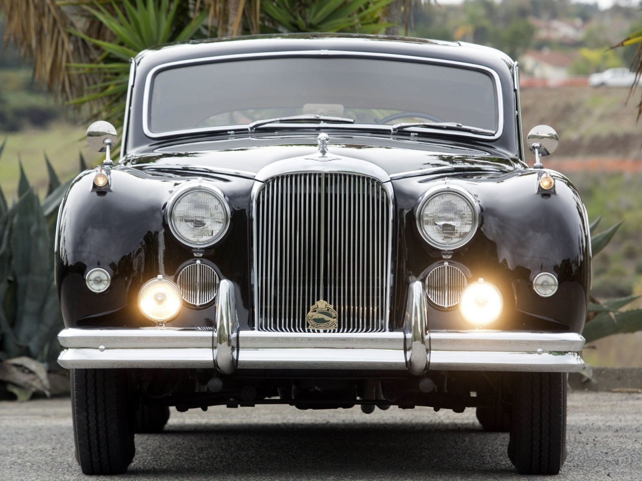 Black Classic Jaguar for 1280 x 960 resolution