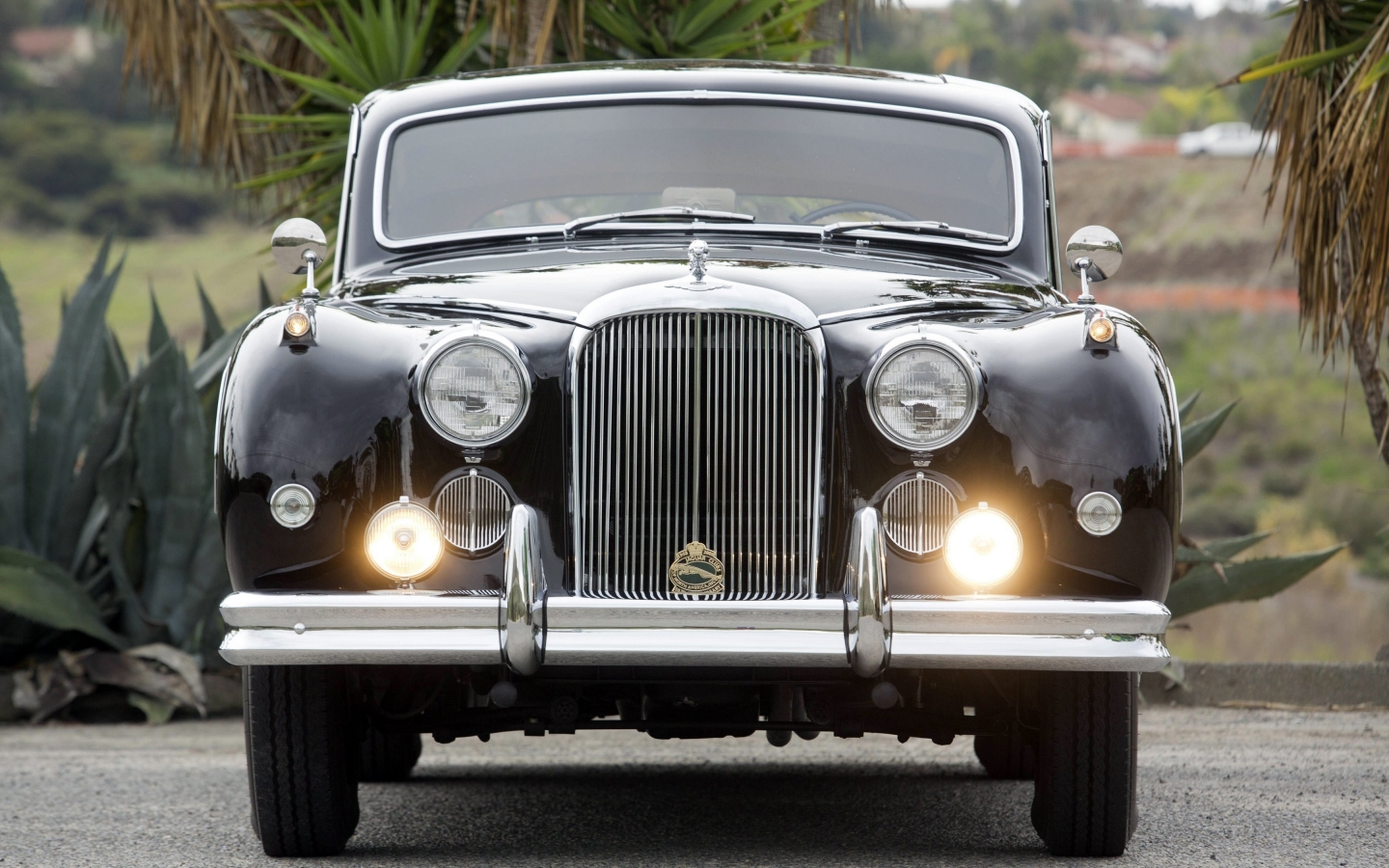 Black Classic Jaguar for 1440 x 900 widescreen resolution