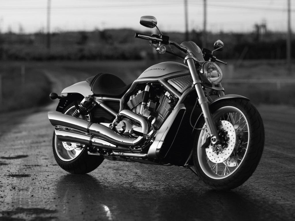 Black Harley Davidson for 1024 x 768 resolution