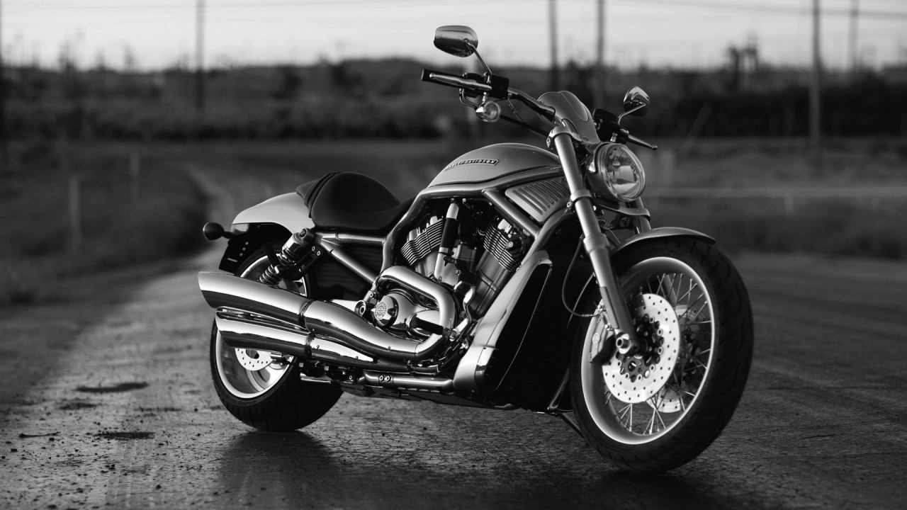 Black Harley Davidson for 1280 x 720 HDTV 720p resolution