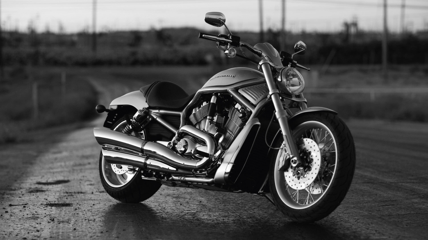 Black Harley Davidson for 1366 x 768 HDTV resolution