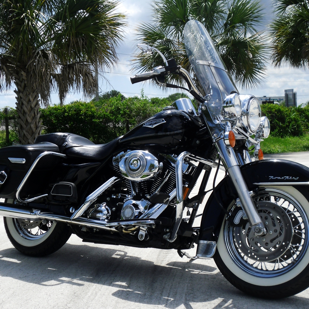 Black Harley Davidson Road King for 1024 x 1024 iPad resolution