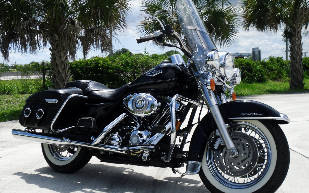 Black Harley Davidson Road King for 1280 x 800 widescreen resolution