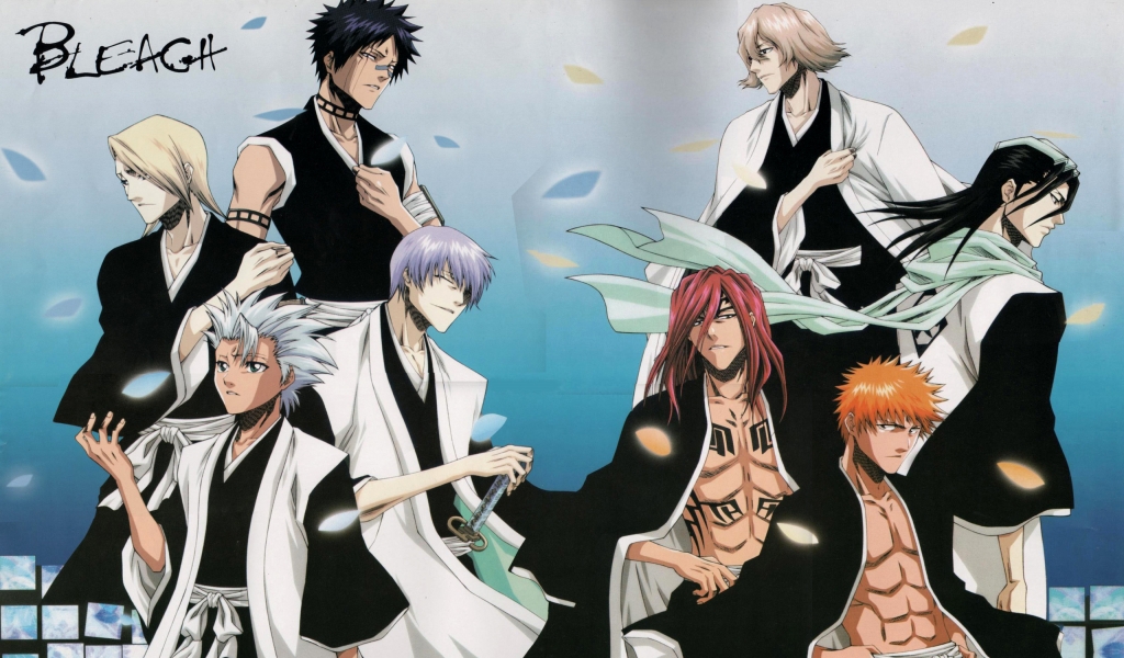 Bleach Anime Characters for 1024 x 600 widescreen resolution
