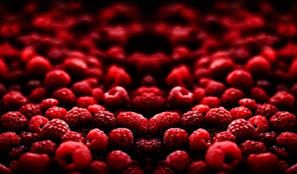 Blood Fruit for 1024 x 600 widescreen resolution