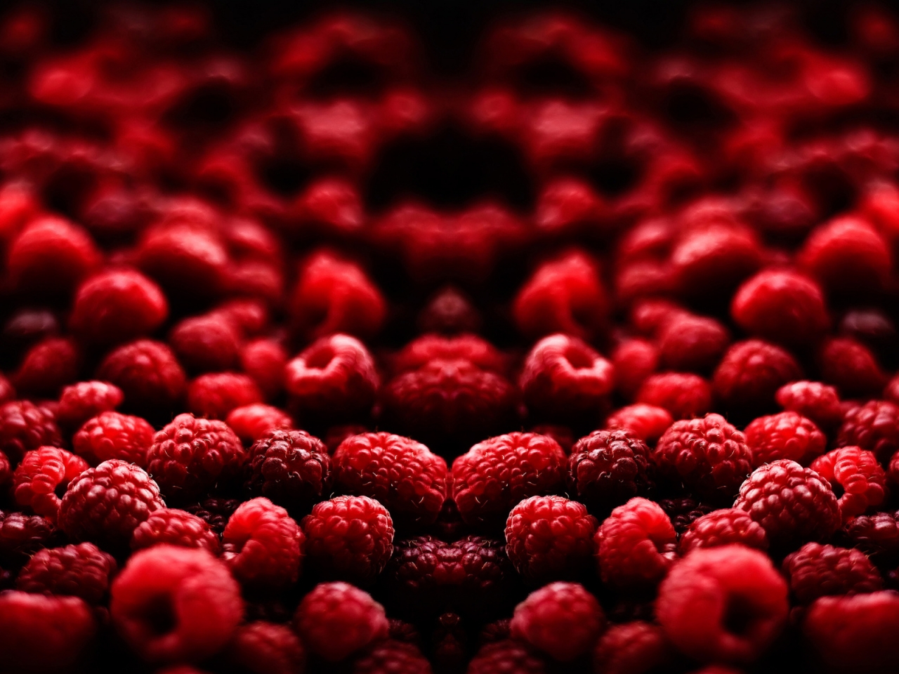 Blood Fruit for 1280 x 960 resolution