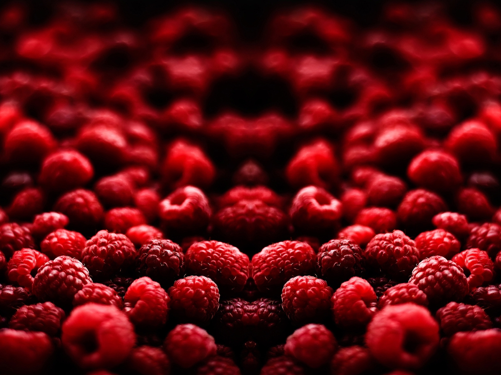 Blood Fruit for 1600 x 1200 resolution