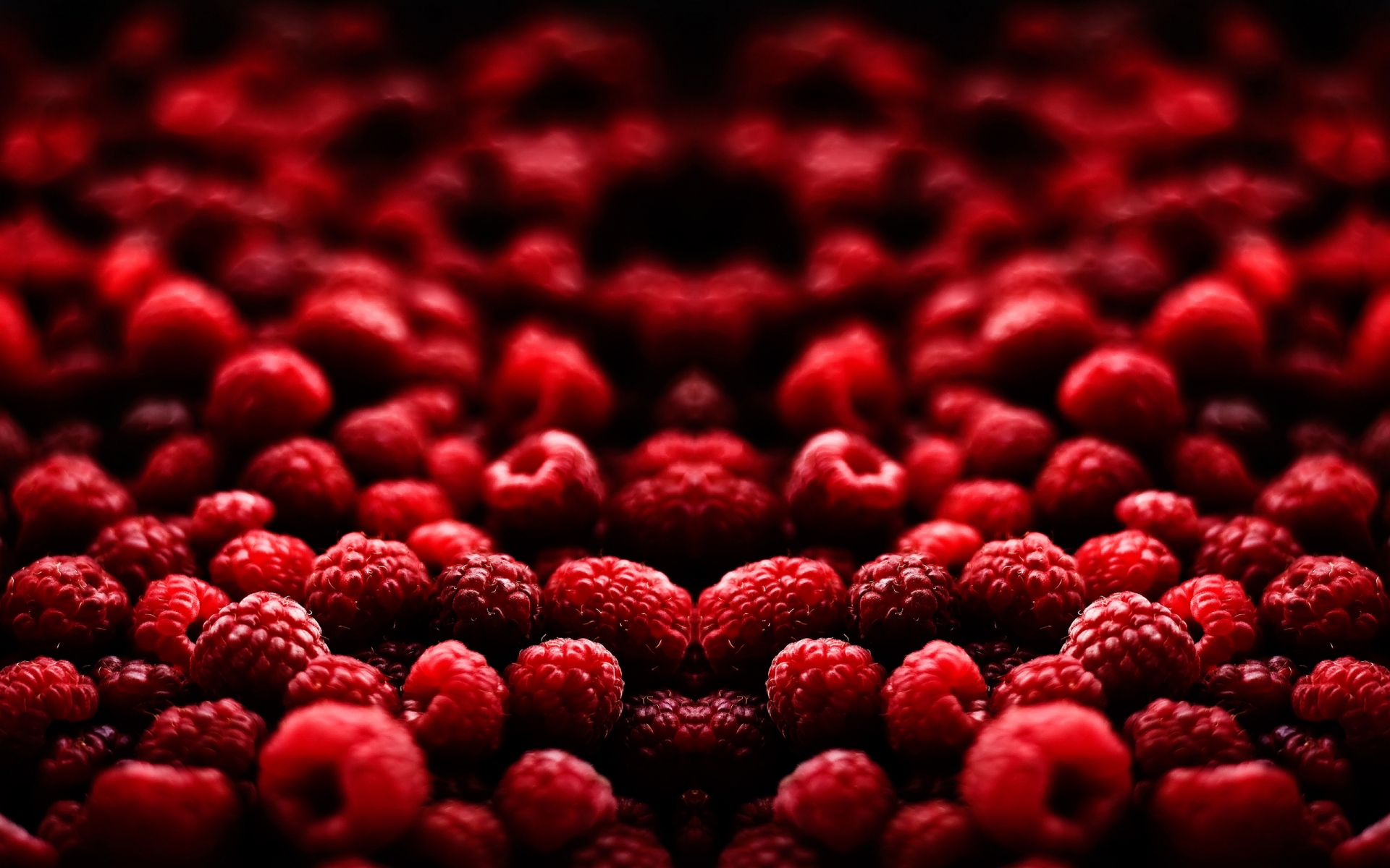 Blood Fruit for 1920 x 1200 widescreen resolution