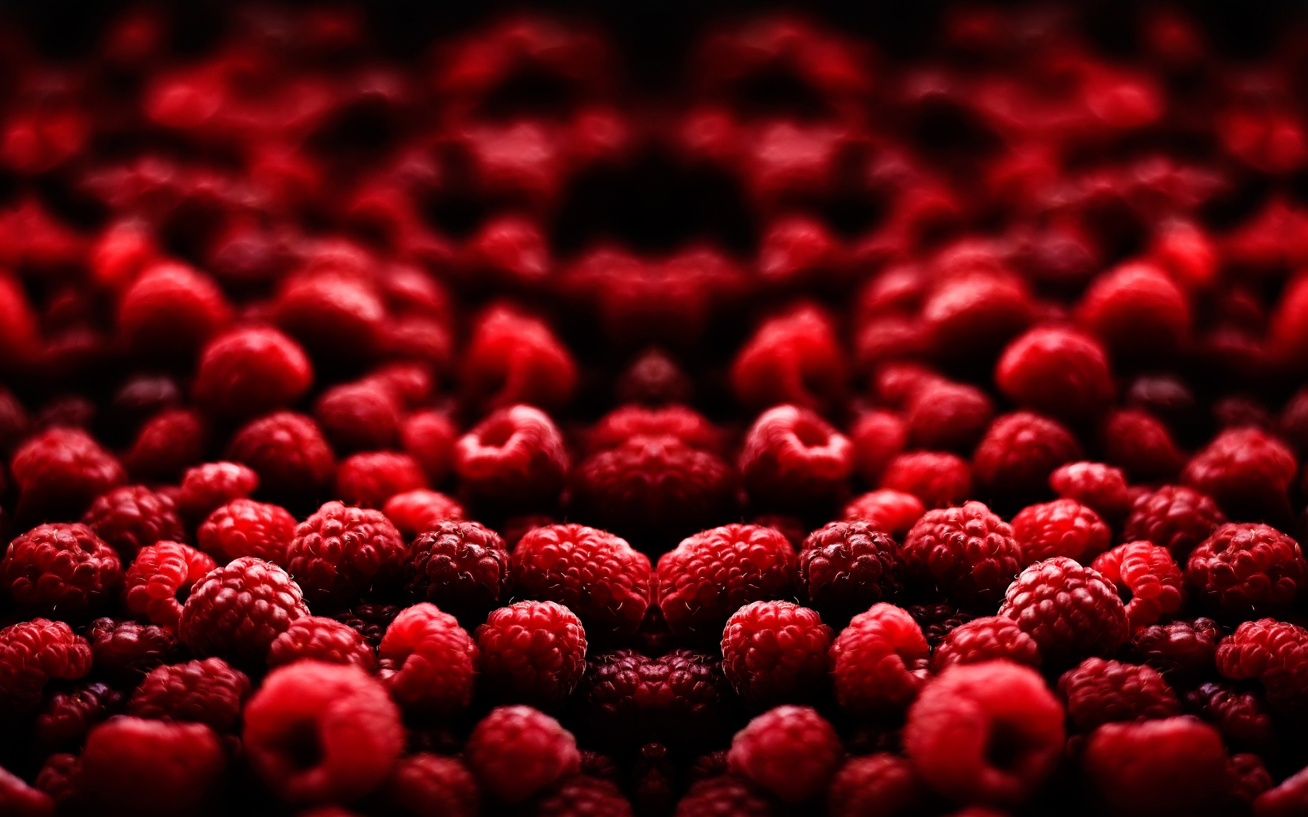Blood Fruit for 2560 x 1600 widescreen resolution