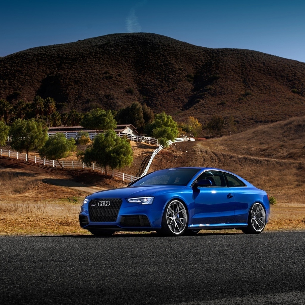 Blue Audi RS5 Sport Car for 1024 x 1024 iPad resolution