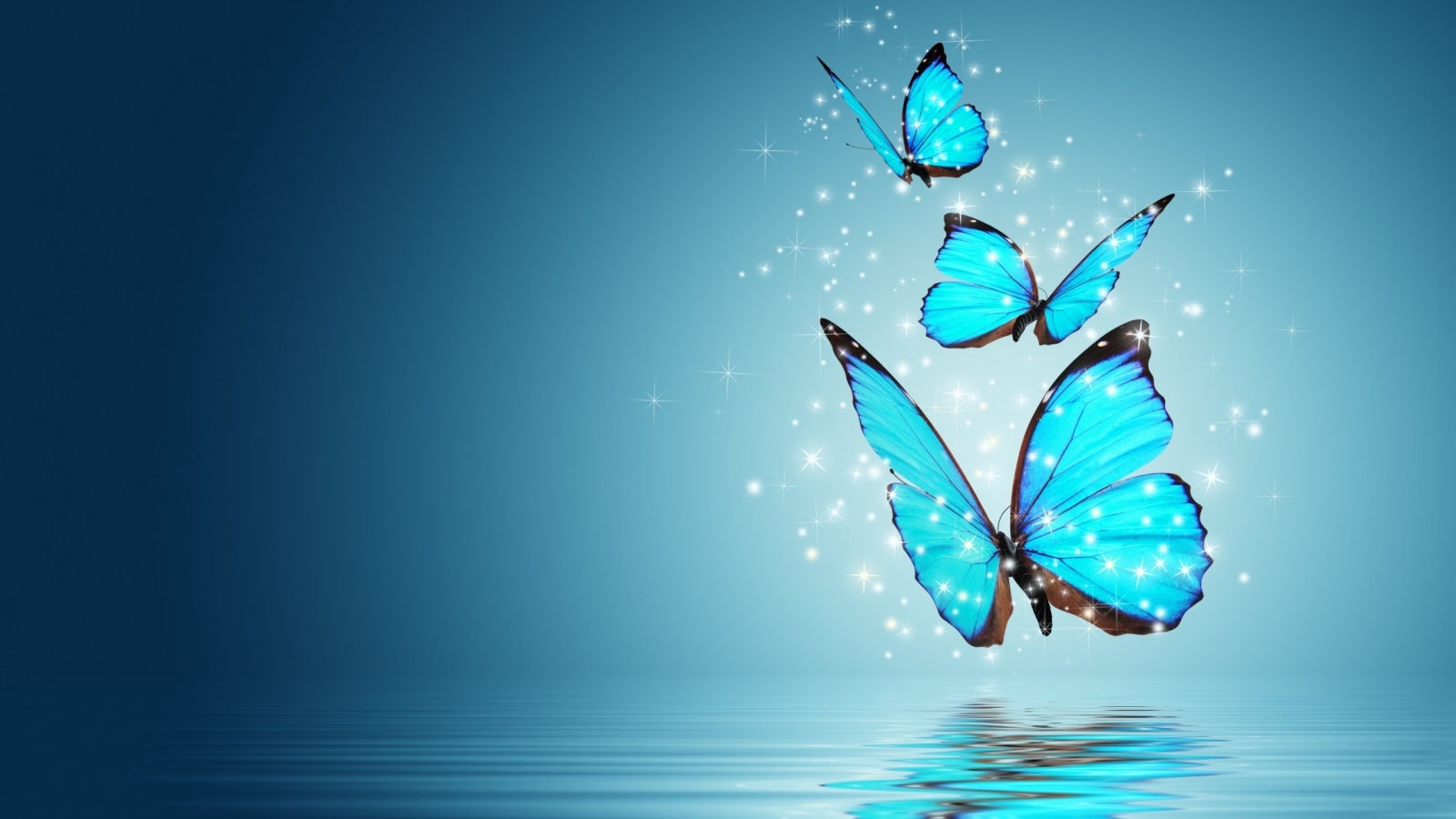 Blue Butterflies for 1600 x 900 HDTV resolution