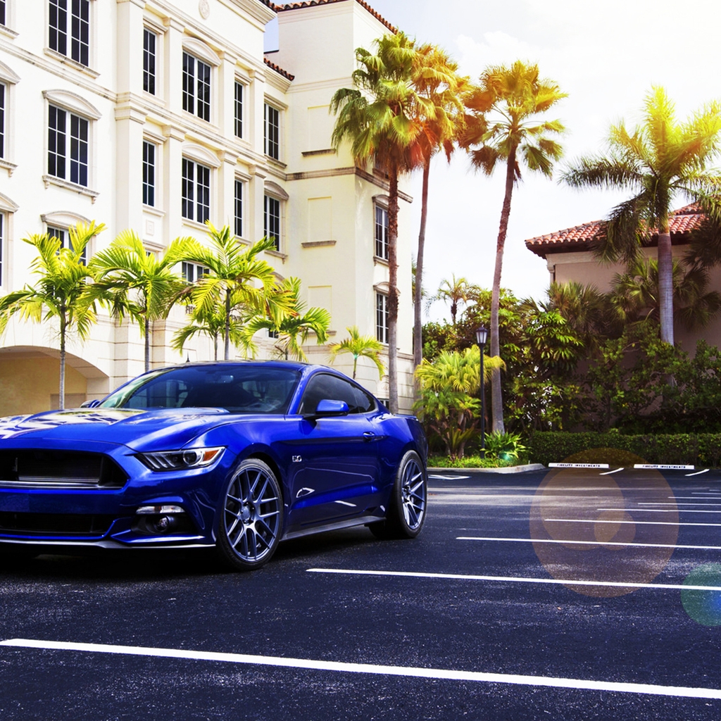 Blue Ford Mustang 2015 for 1024 x 1024 iPad resolution