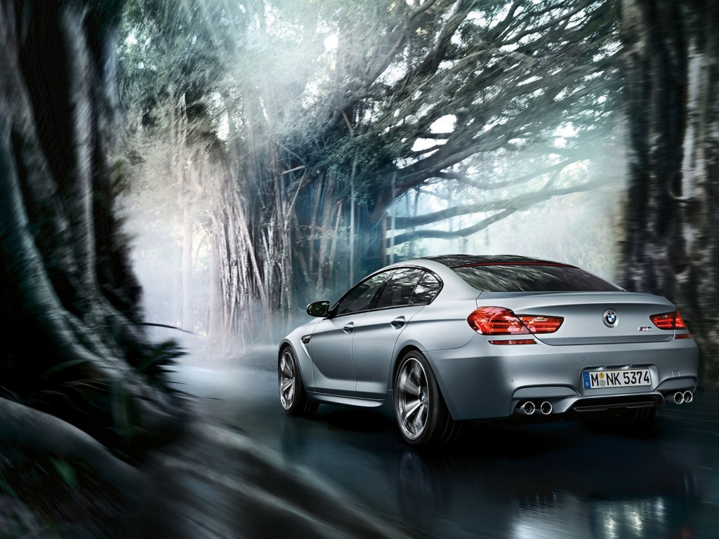 BMW M6 Gran Coupe for 1024 x 768 resolution