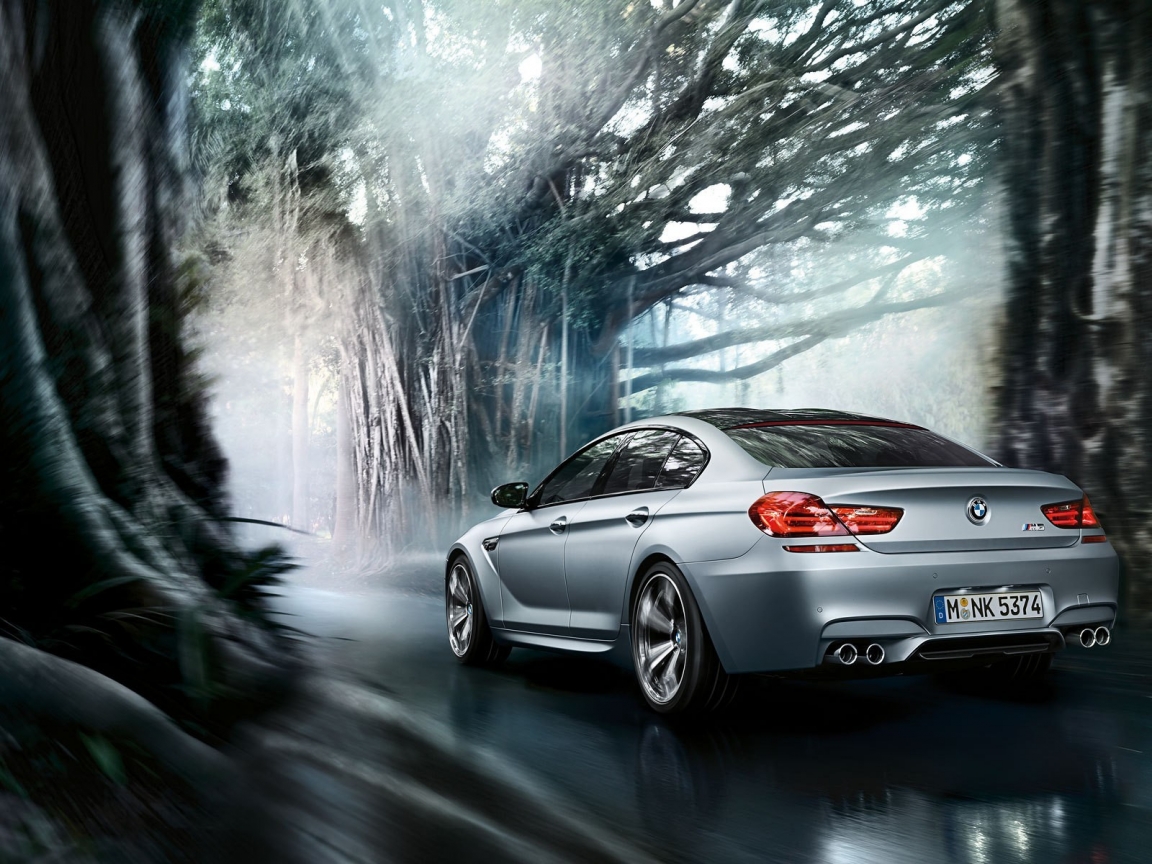BMW M6 Gran Coupe for 1152 x 864 resolution